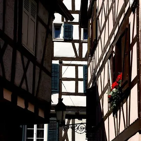 住宿加早餐酒店 D'hotes Du Cote Des Remparts 维桑堡